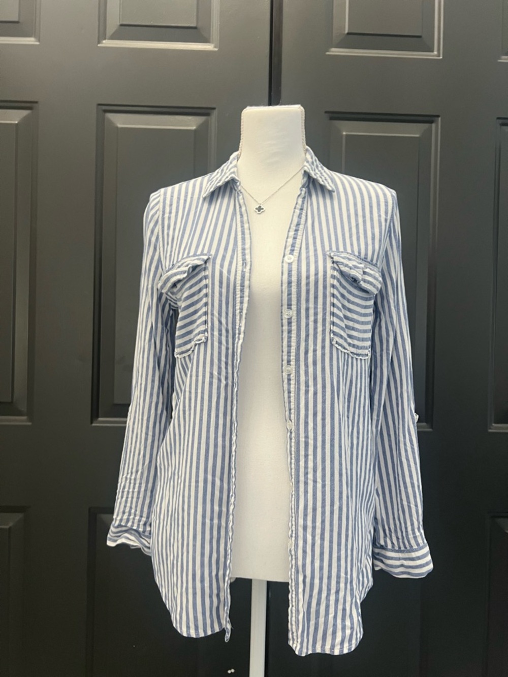 Striped Button-Front Shirt in Blue and White